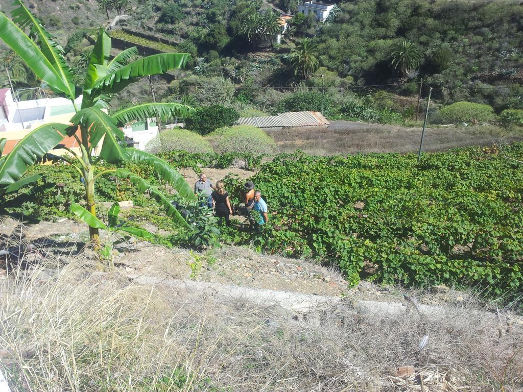 Casas Rurales Pie De La Cuesta1 Vallehermoso Δωμάτιο φωτογραφία